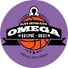 https://img.montreal4you.com/img/basketball/team/b60130552ad2306efdb759a30661c3e6.png